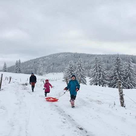 Chata Waliszow Nowy Waliszow Dış mekan fotoğraf