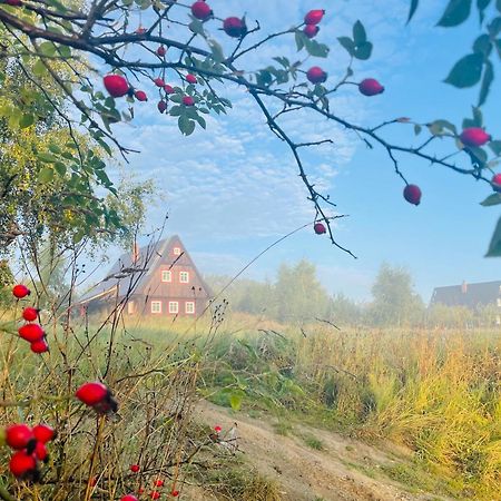 Chata Waliszow Nowy Waliszow Dış mekan fotoğraf