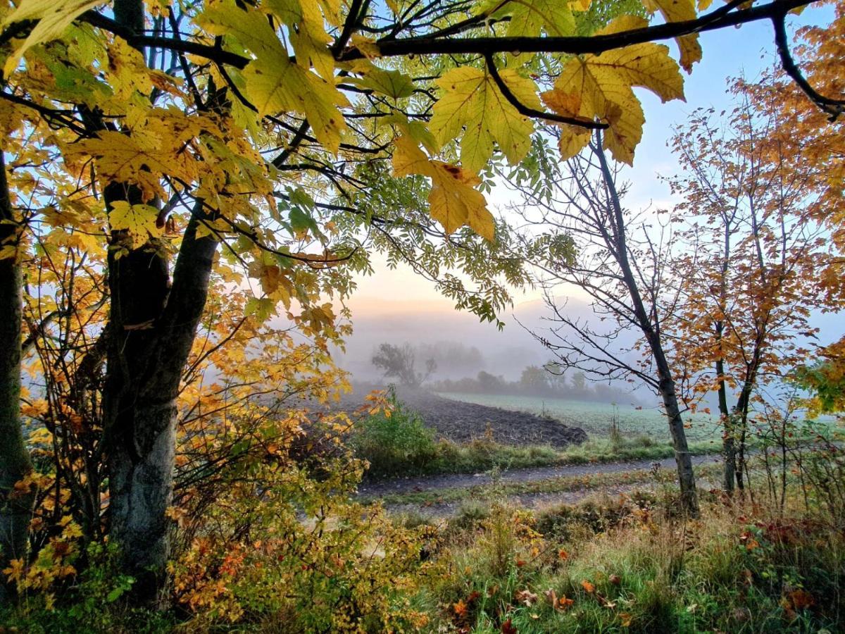 Chata Waliszow Nowy Waliszow Dış mekan fotoğraf