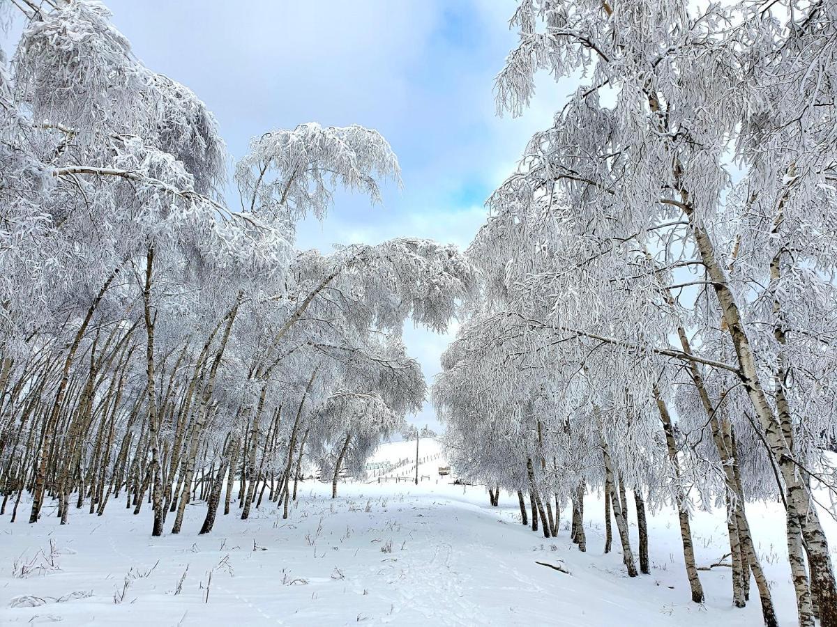 Chata Waliszow Nowy Waliszow Dış mekan fotoğraf