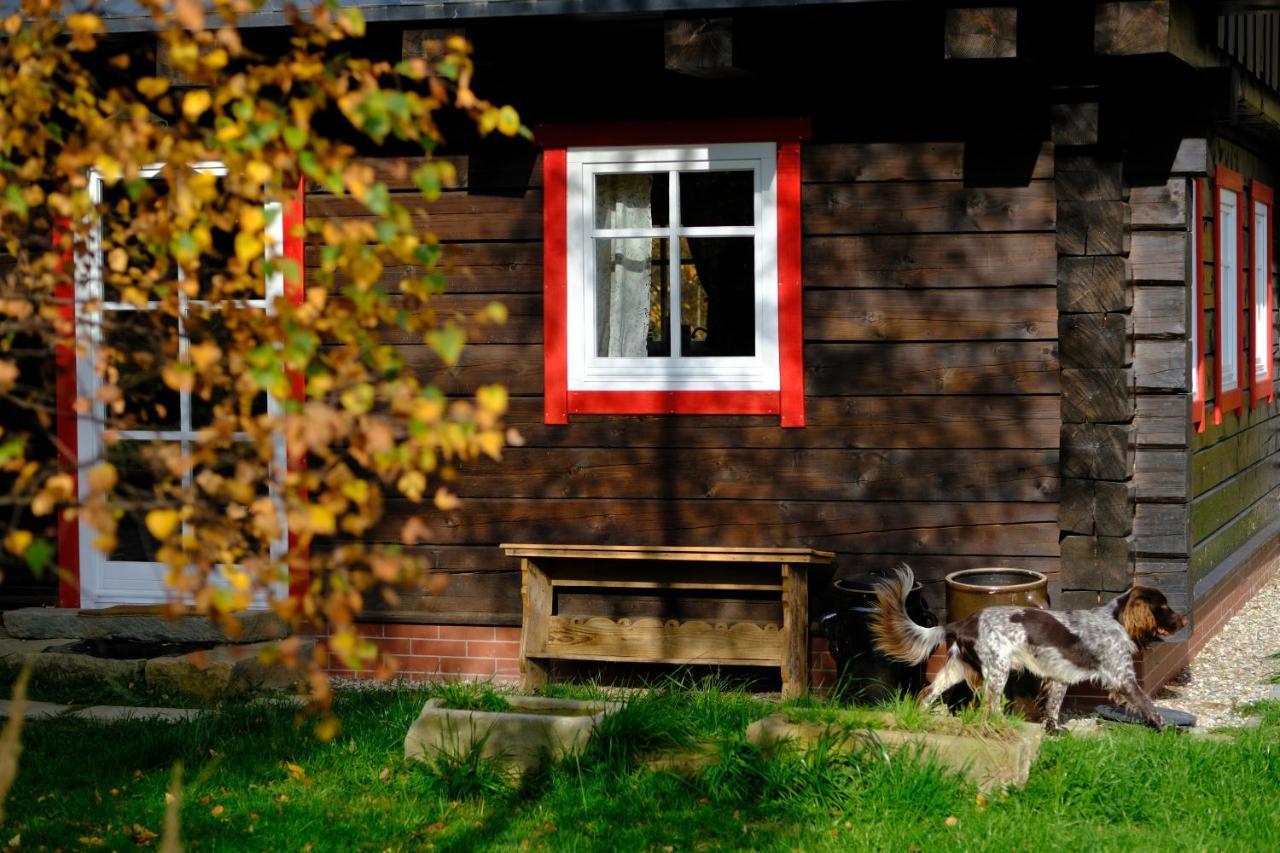 Chata Waliszow Nowy Waliszow Dış mekan fotoğraf