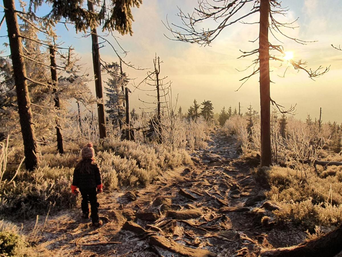 Chata Waliszow Nowy Waliszow Dış mekan fotoğraf