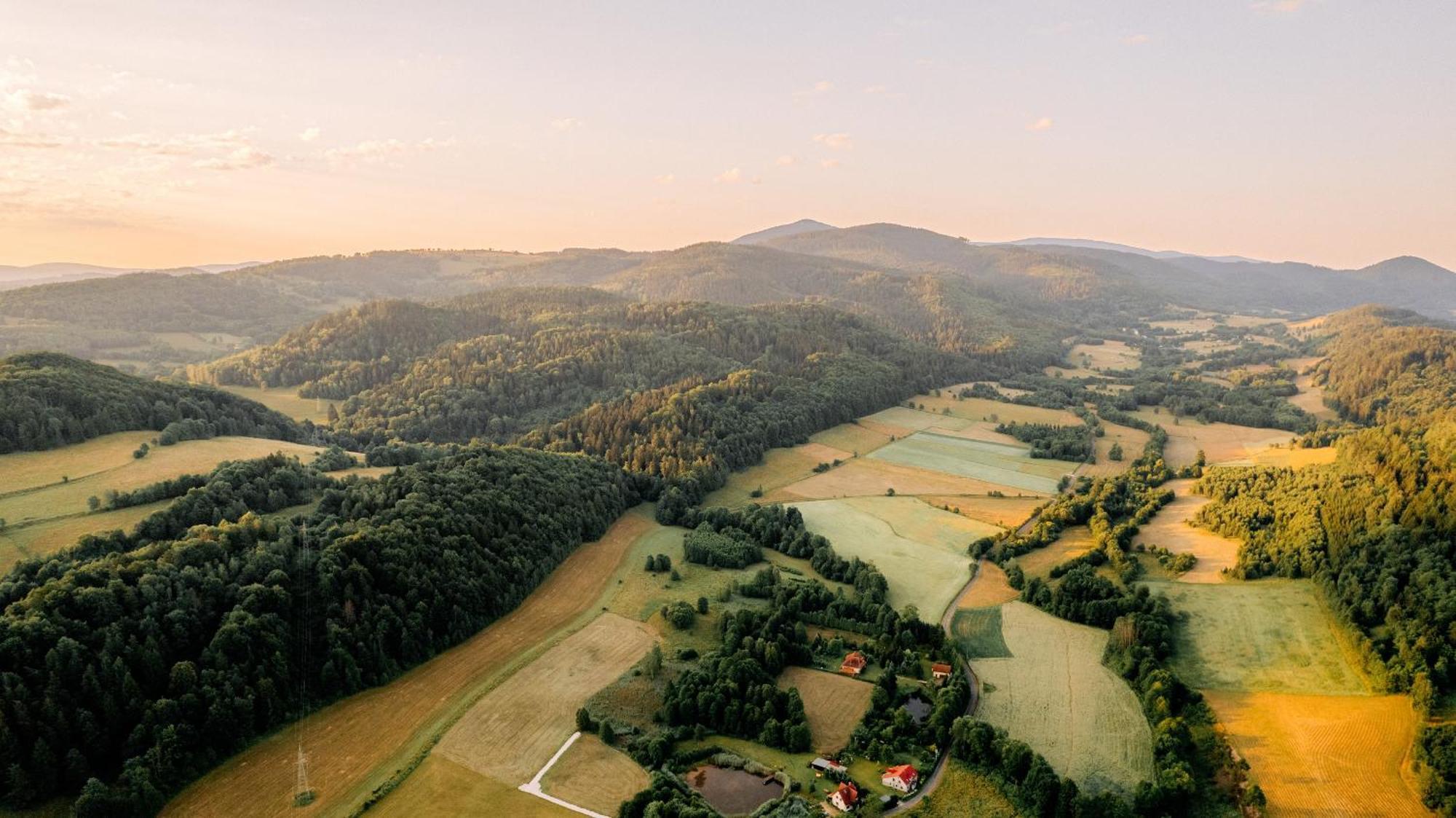 Chata Waliszow Nowy Waliszow Dış mekan fotoğraf