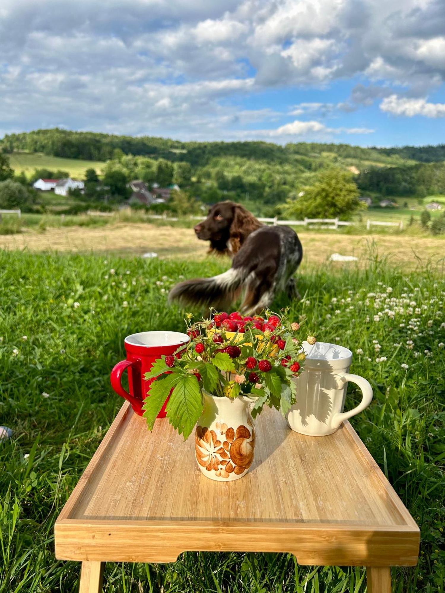 Chata Waliszow Nowy Waliszow Dış mekan fotoğraf