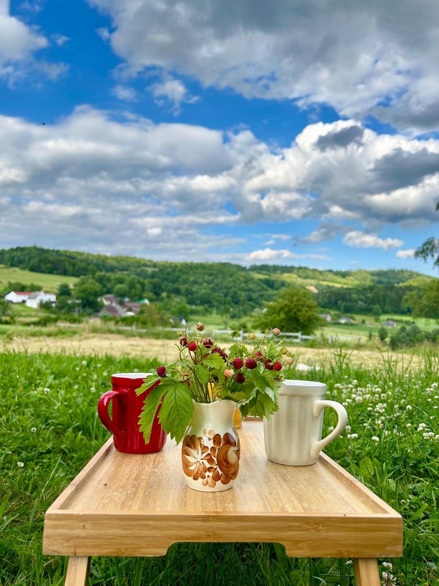 Chata Waliszow Nowy Waliszow Dış mekan fotoğraf
