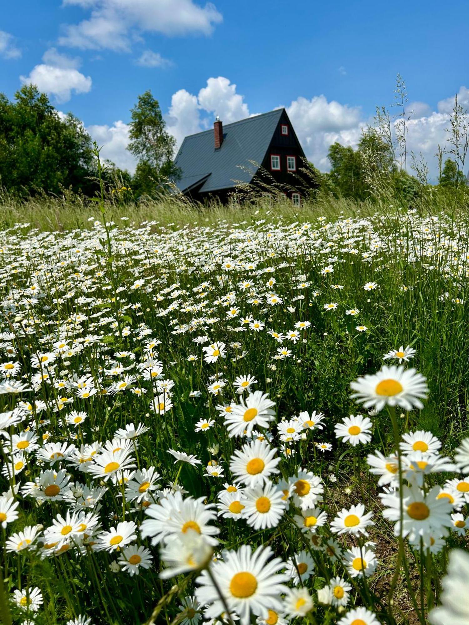 Chata Waliszow Nowy Waliszow Dış mekan fotoğraf