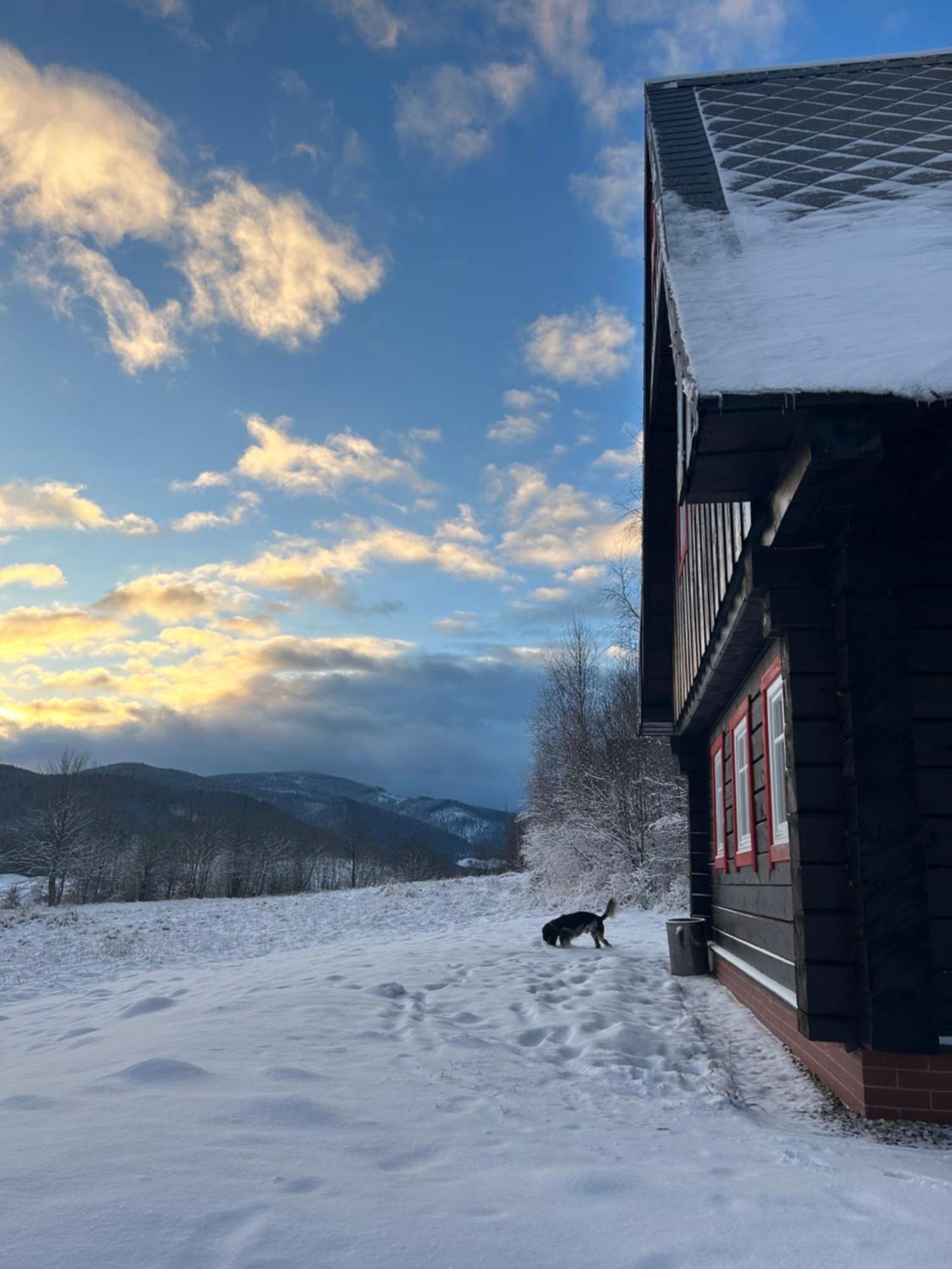 Chata Waliszow Nowy Waliszow Dış mekan fotoğraf