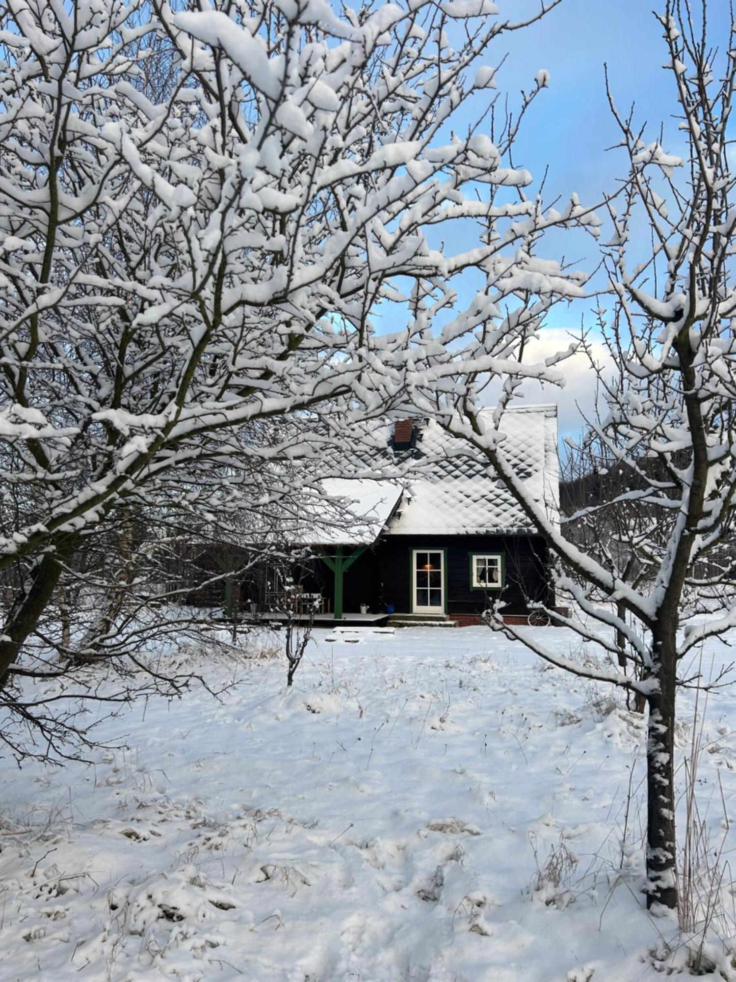 Chata Waliszow Nowy Waliszow Dış mekan fotoğraf