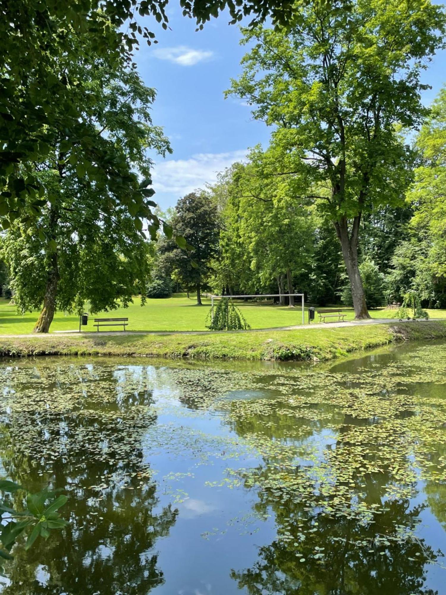 Chata Waliszow Nowy Waliszow Dış mekan fotoğraf