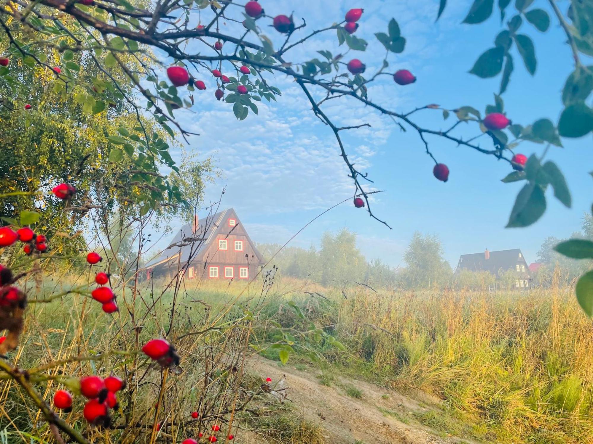 Chata Waliszow Nowy Waliszow Dış mekan fotoğraf